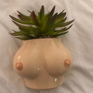 Unique Nude Ceramic Planter with Succulent
